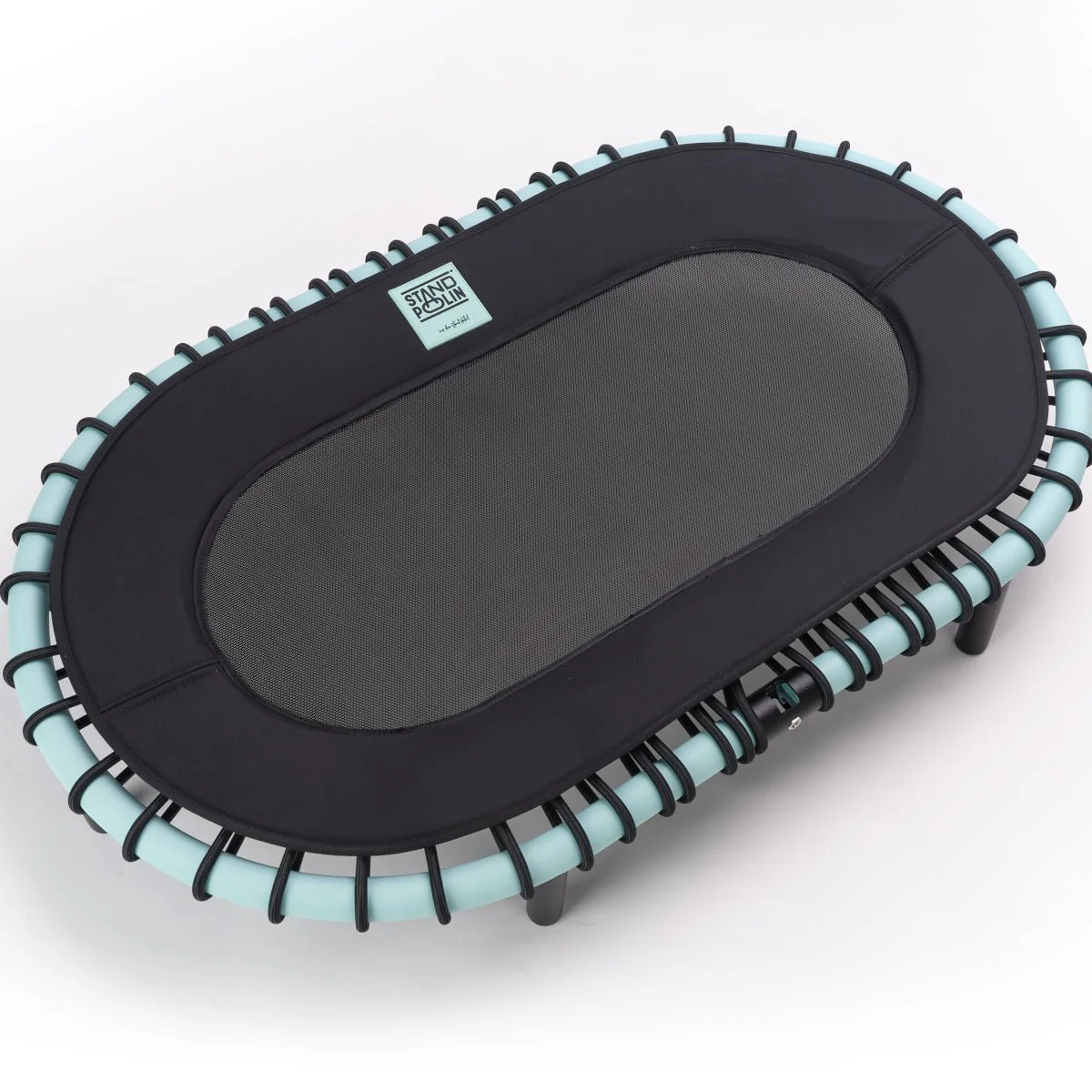 Standpolin Aqua - Image 5