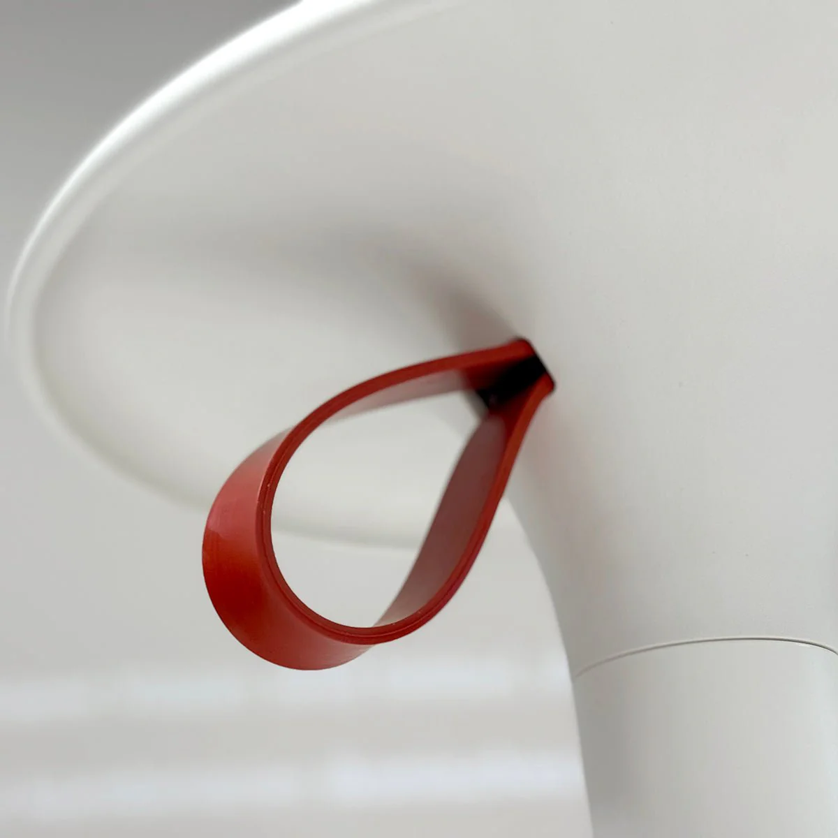 Lio White - Image 5